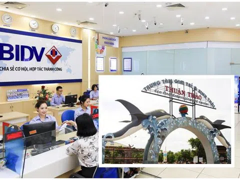 BIDV Chi nhánh Phú Tài loay hoay với khoản nợ hơn 2.735,3 tỉ đồng của Công ty cổ phần Thuận Thảo